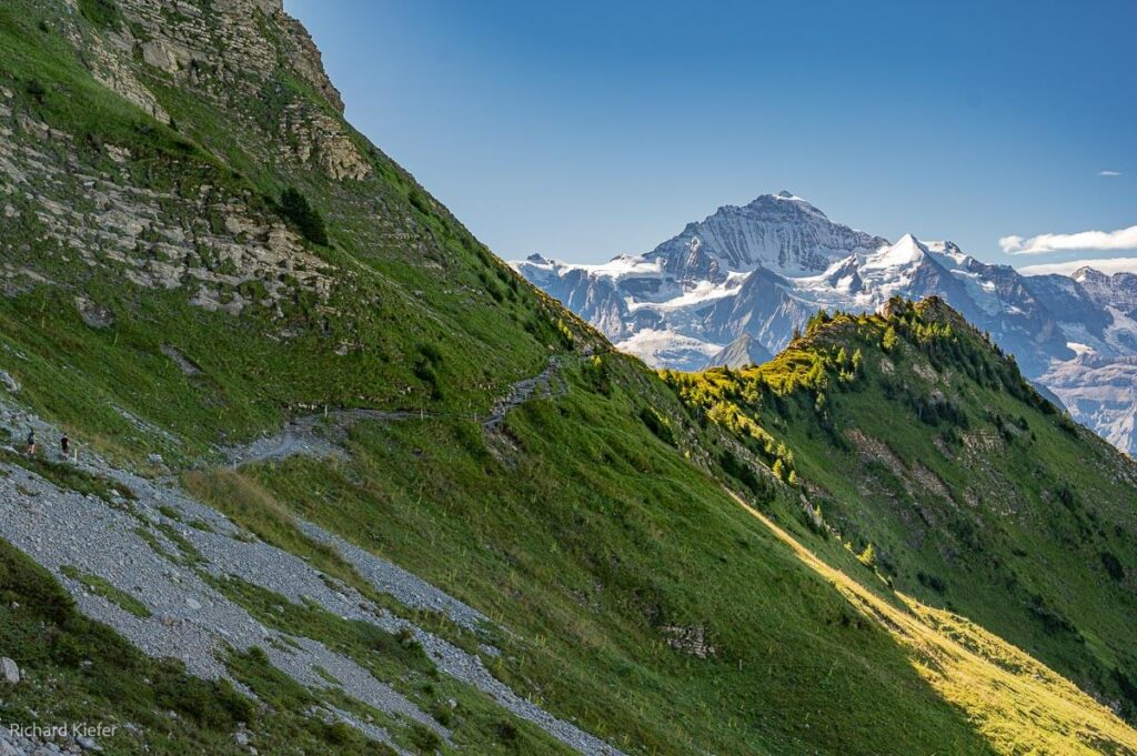 Schynigge Platte, Jungfrau
