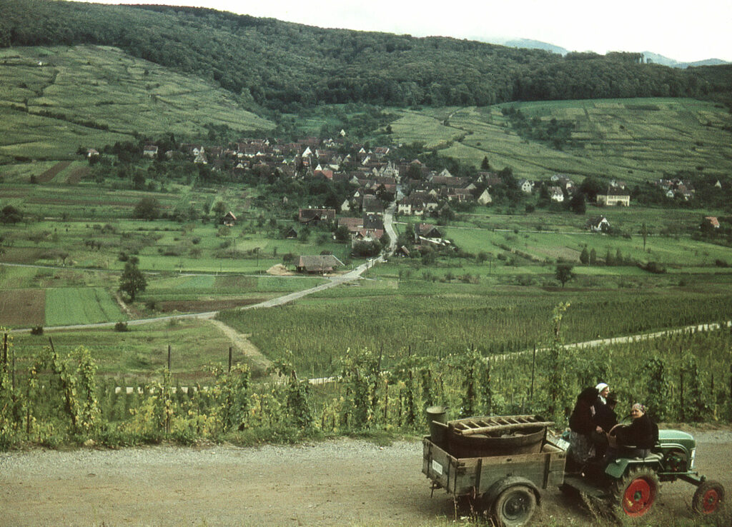 Pfaffenweiler bei Freiburg 1959