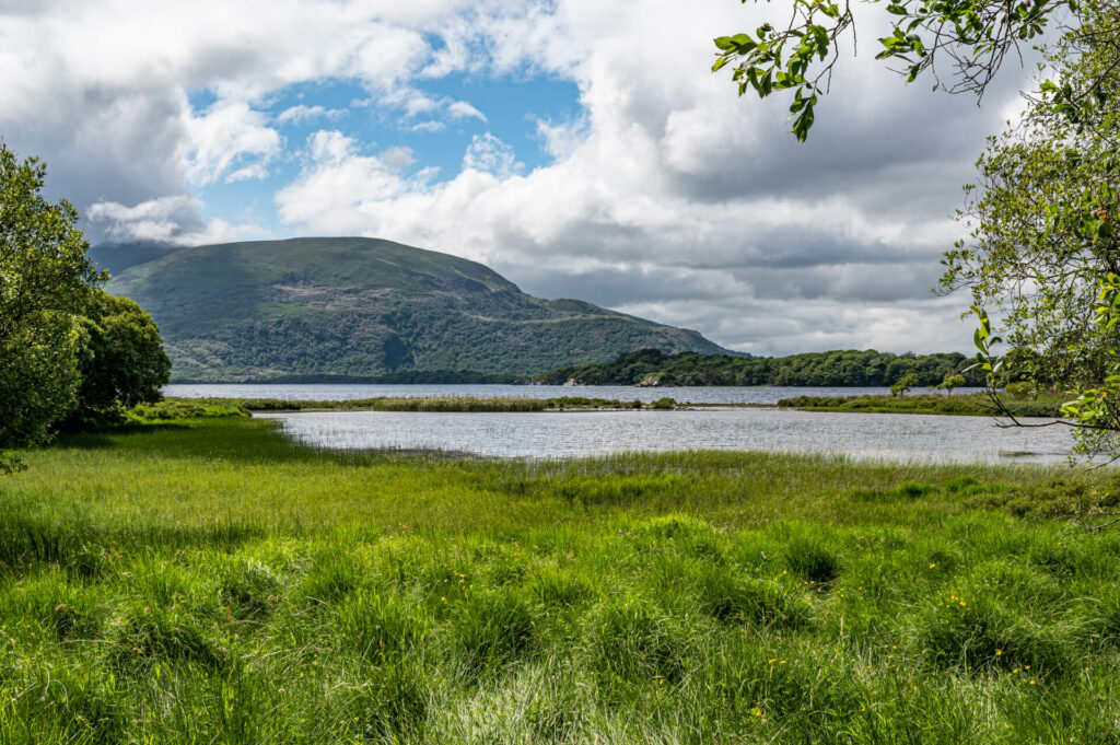 Muckross Lake, Killarney National Park, County Kerry