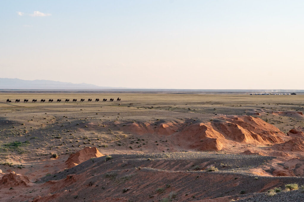 Bayanzag, Wüste Gobi