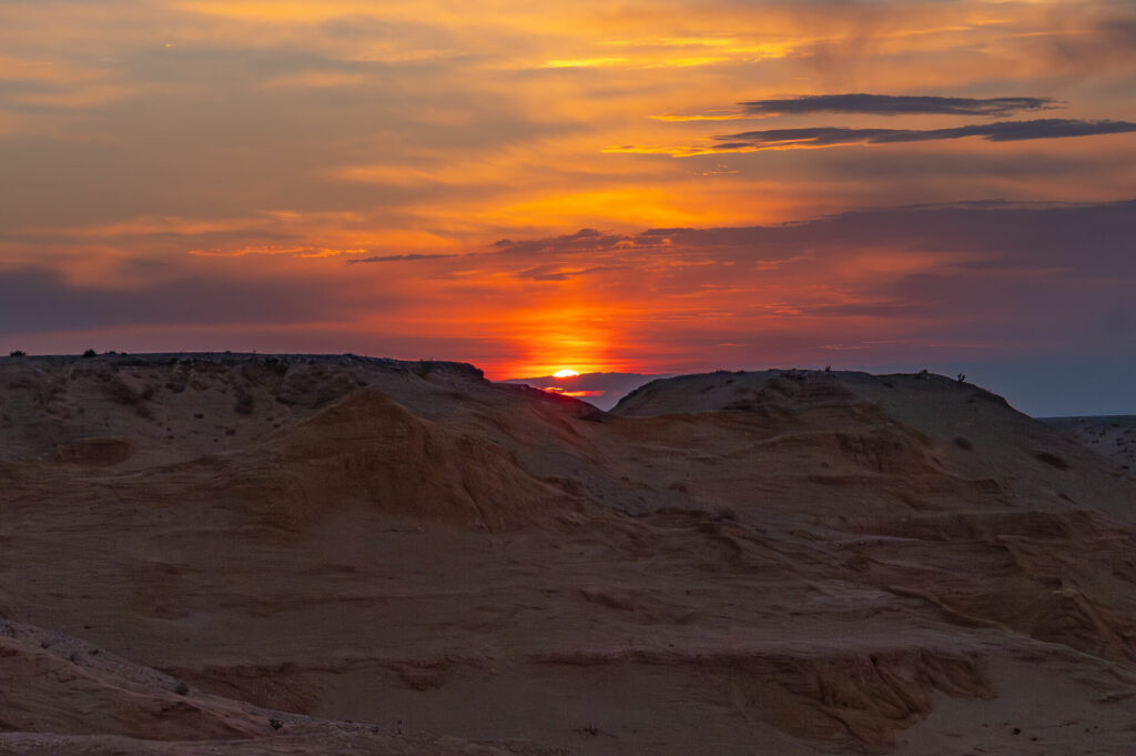 Bayanzag (Red Cliffs), Wüste Gobi