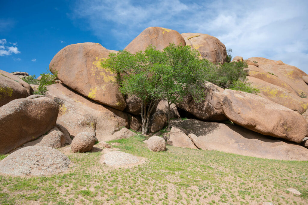 Khugnu Khan Nationalpark