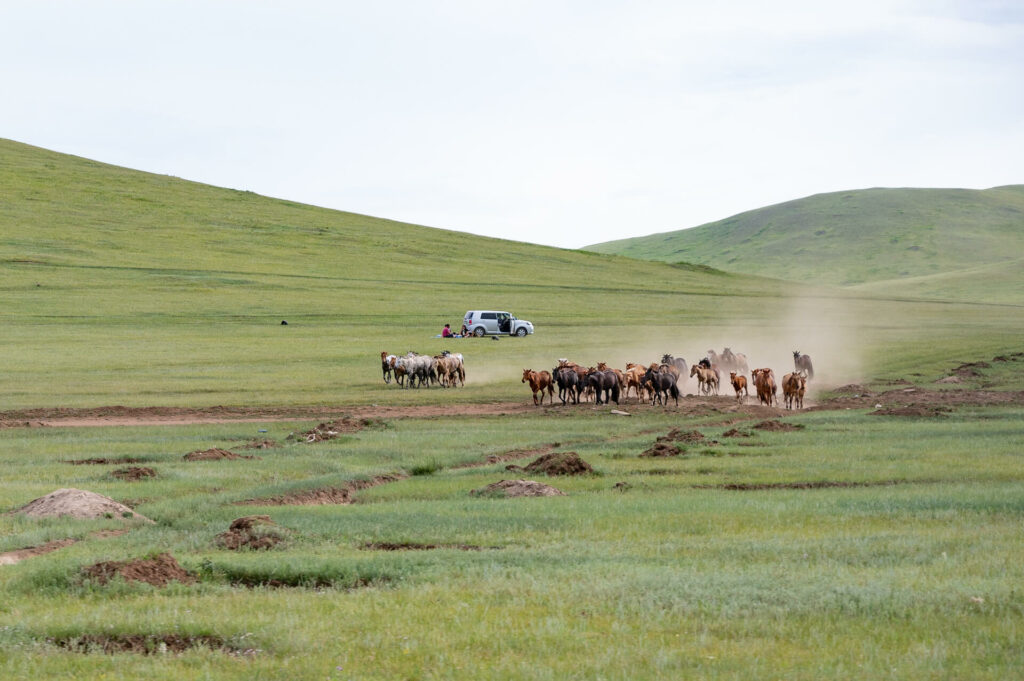 Kustain Nuruu Nationalpark