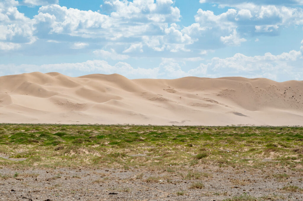 Düne Khongoriin Els, Wüste Gobi