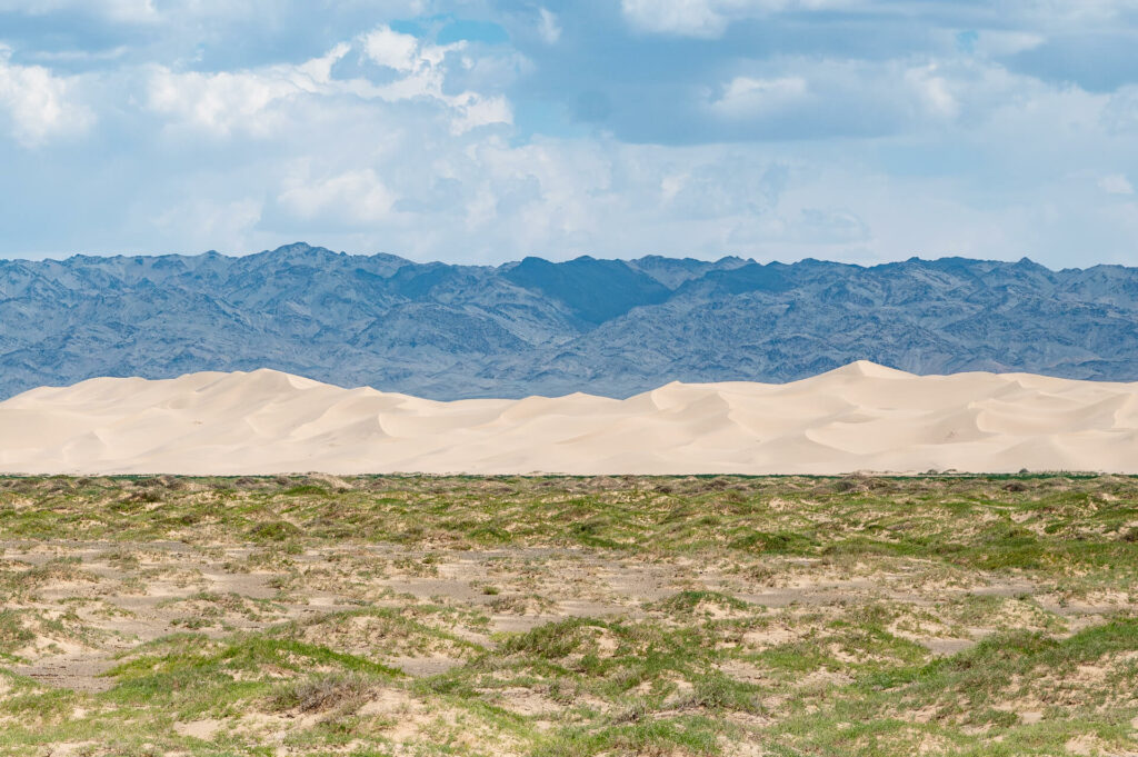 Düne Khongoriin Els, Wüste Gobi