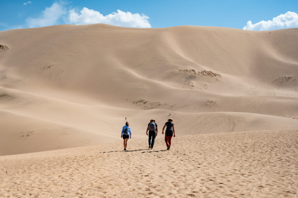 Düne Khongoriin Els, Wüste Gobi