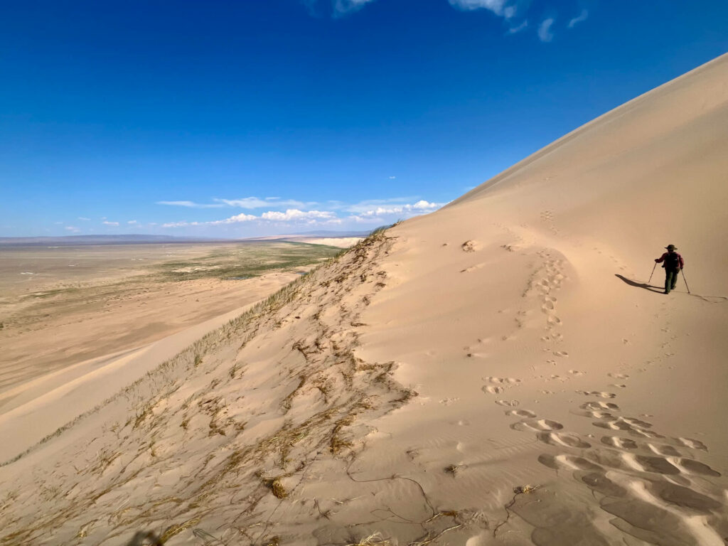 Düne Khongoriin Els, Wüste Gobi