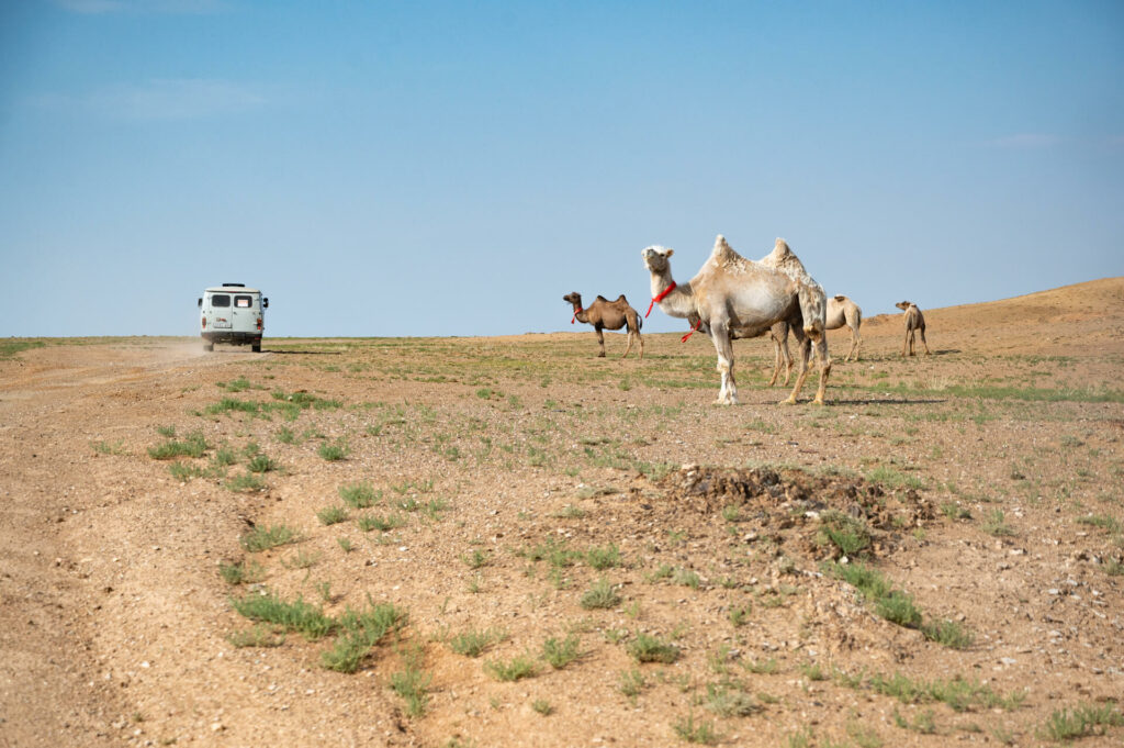 Wüste Gobi