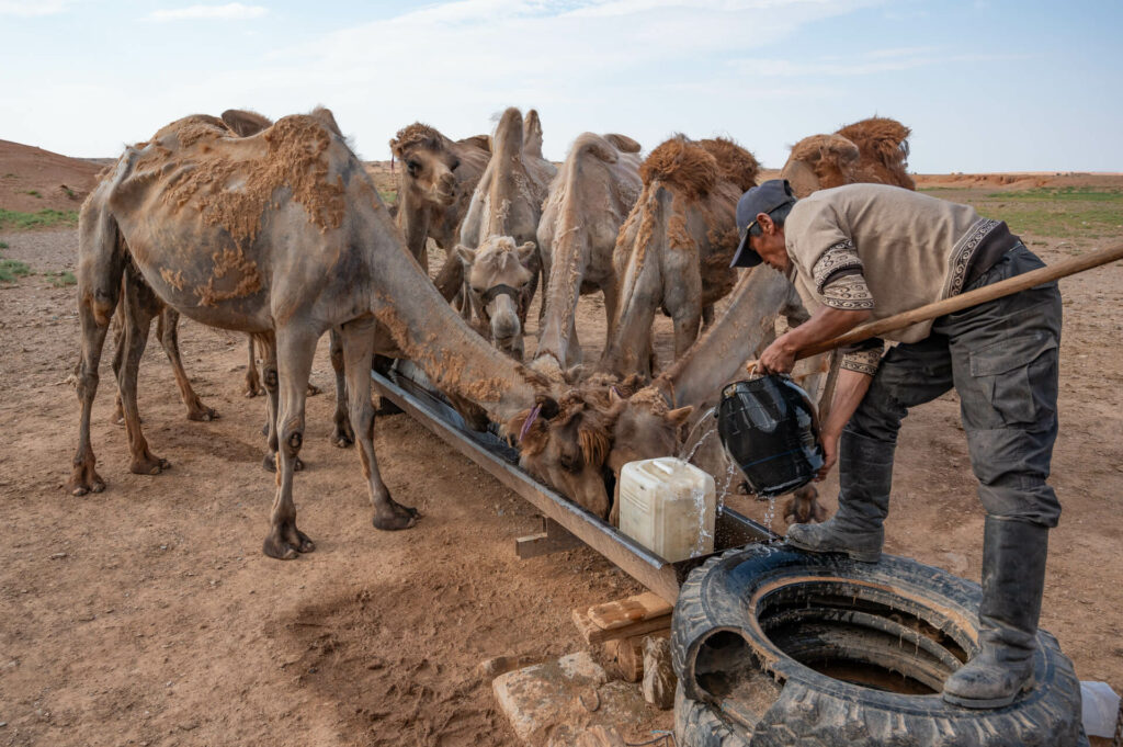 Wüste Gobi