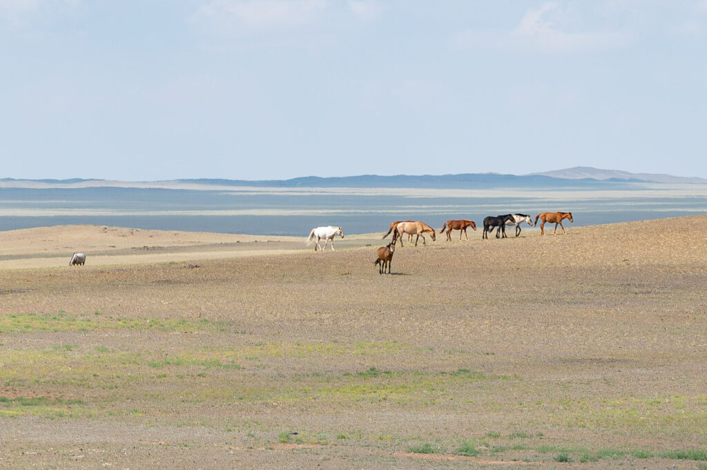 Wüste Gobi