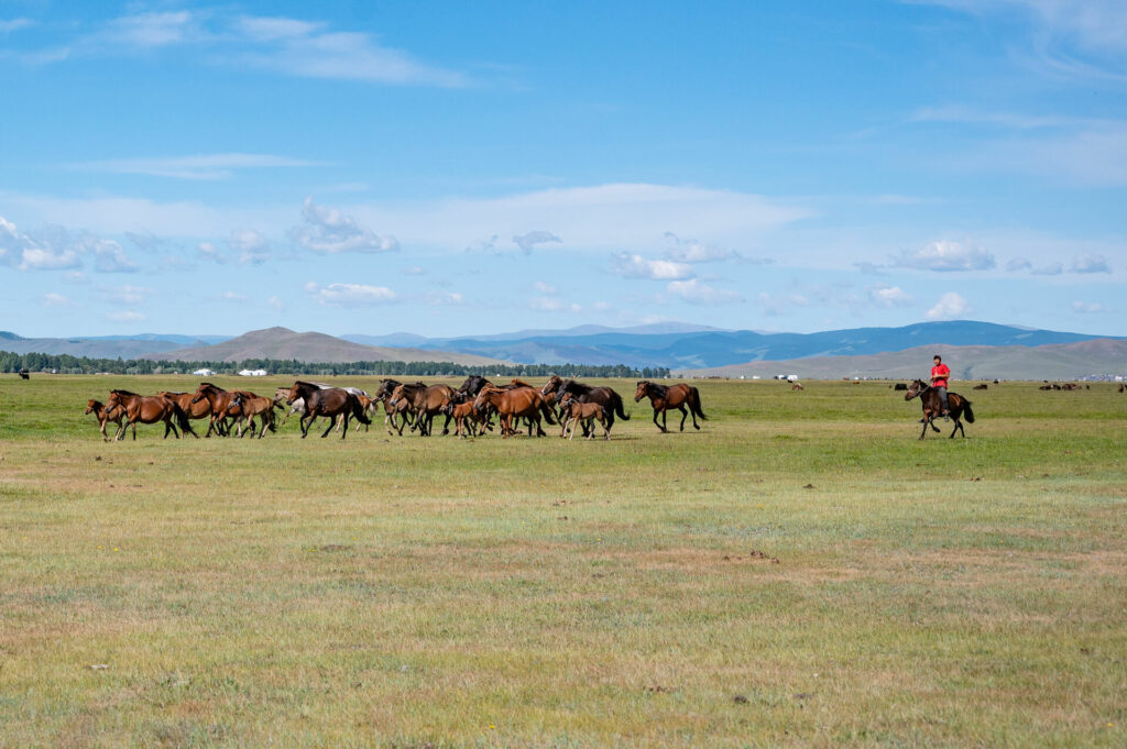 Mongolei