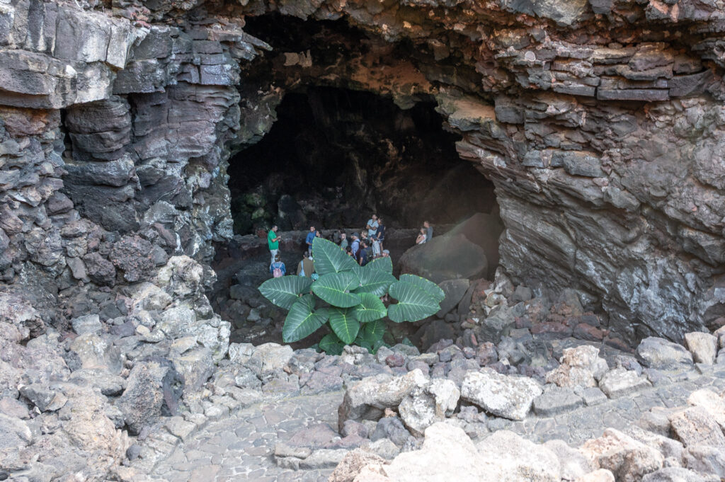 Jameos del Agua, Lanzarote