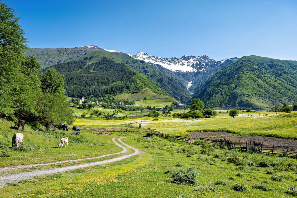 Lachiri, Großer Kaukasus, Swanetien