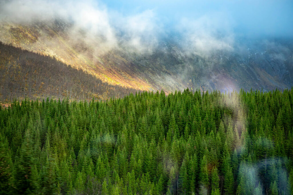 Vesterålen, Norwegen, Hurtigruten Vesterålen, Norwegen, Hurtigruten
